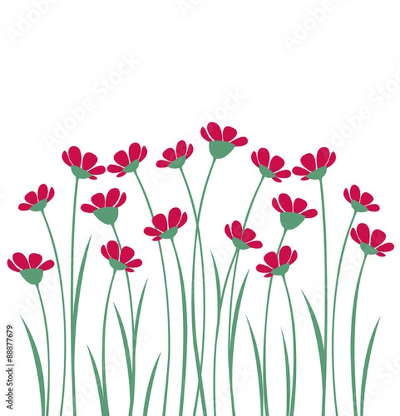 Obraz Flowers