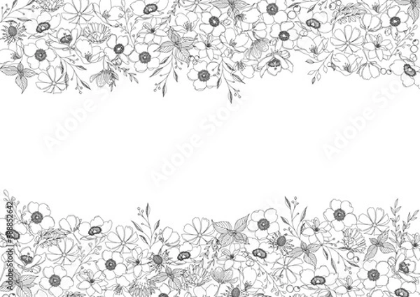 Obraz 美しい花の線画、ボタニカルフレーム素材