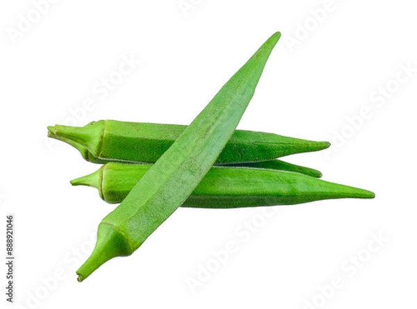 Obraz Okras isolated on the white background