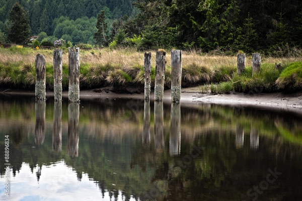 Fototapeta reflecting nature on the beach 