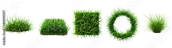 Obraz  Grass Different Shapes and Forms cut out dicut PNG on transparent  cut out dicut PNG on transparent