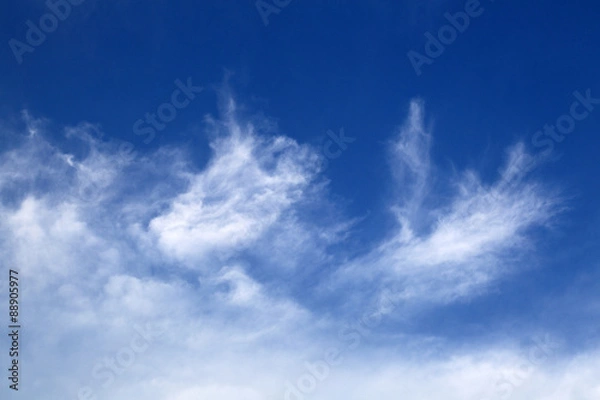 Obraz Blue sky background with light cloud
