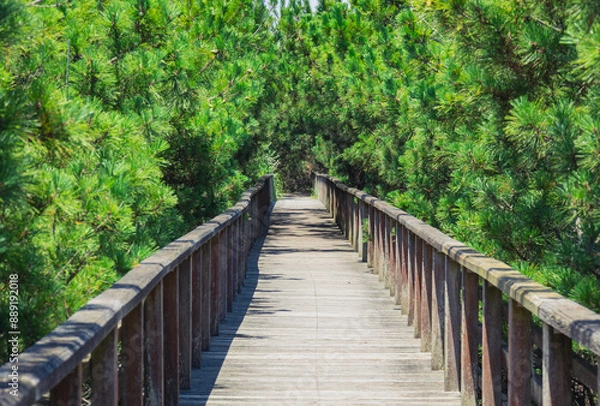 Fototapeta 鹿島灘海公園