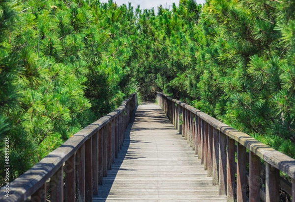Fototapeta 鹿島灘海公園