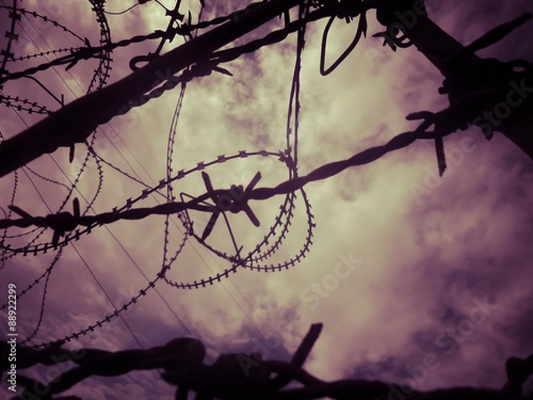 Obraz Barbed wire B