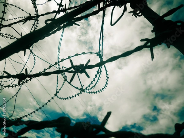 Obraz Barbed wire A
