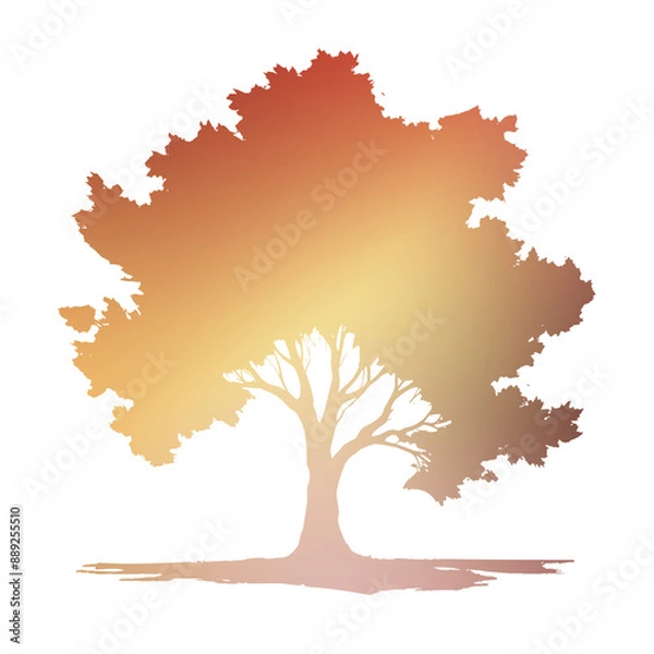 Obraz Autumn Tree Silouhette and Shape With Transparent Background