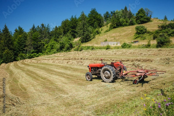 Obraz Old tracktor on the field with dry hay, Serbia