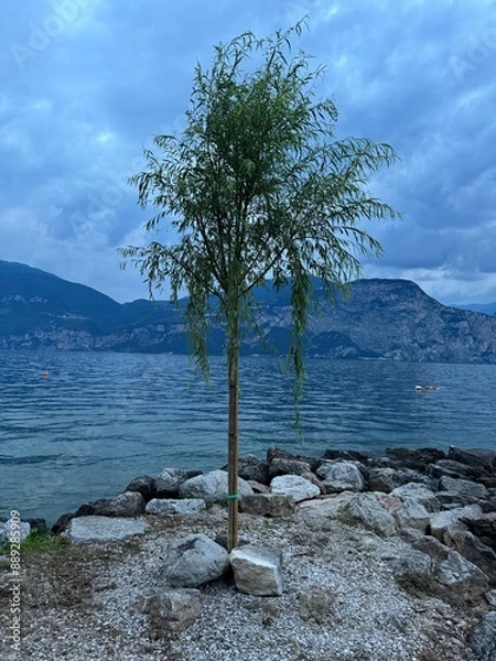 Obraz tree on the shore