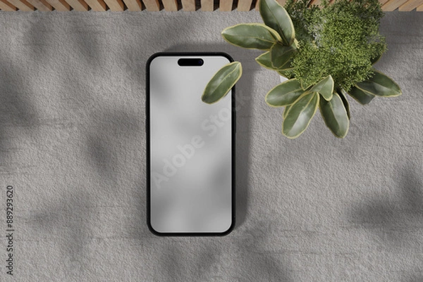 Obraz smartphone image