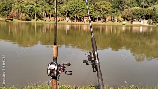Obraz Varas de pesca no lago