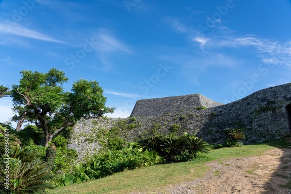 Obraz house in the mountains