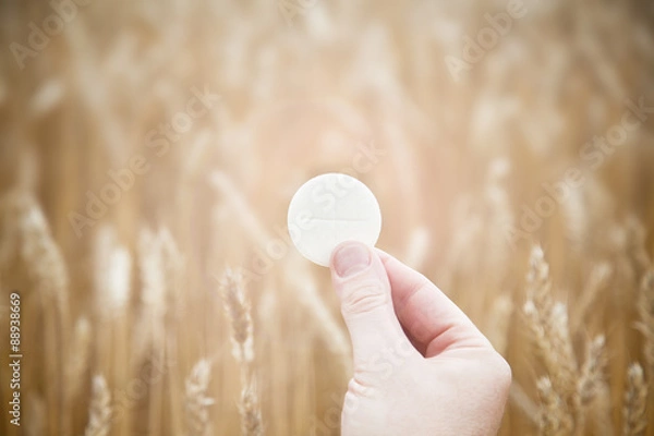 Fototapeta Male hand holding a eucharist with ears of corn in the field and sunset in the background
