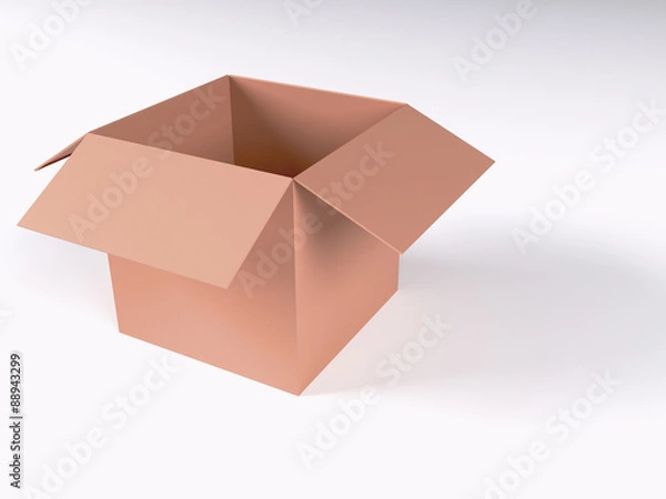 Obraz Cardboard Box 