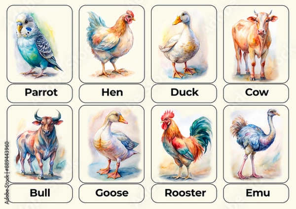 Fototapeta Educational cards for memory development for children, names of domestic and farm animals