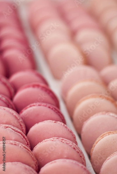 Obraz Dessert table for a wedding party