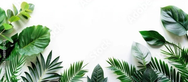 Obraz Minimal exotic concept featuring leaves on a white background with copy space image for a stylish border arrangement.