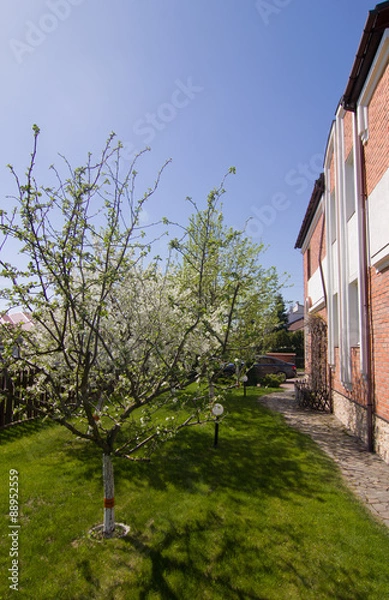 Obraz Very pretty house made of red bricks, surrounded with gorgeous trees