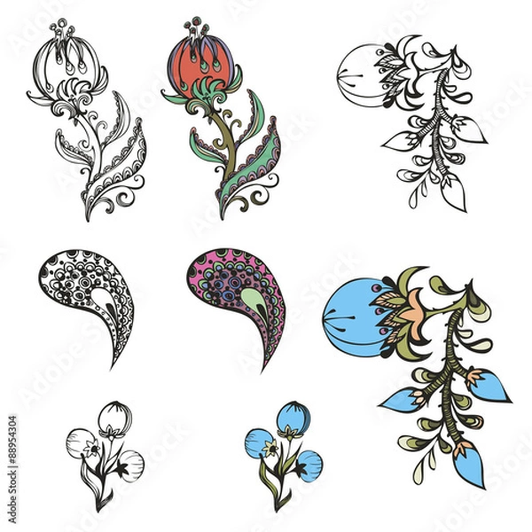 Fototapeta set of vector design of flowers