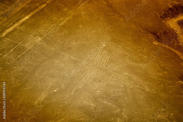 Obraz Hummingbird, Nazca lines, Peru