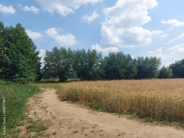 Fototapeta Countryside road
