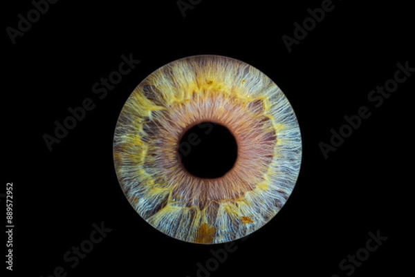 Obraz iris beauté yeux photo des yeux photos d'iris 