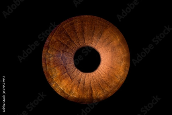 Obraz photo d'iris yeux