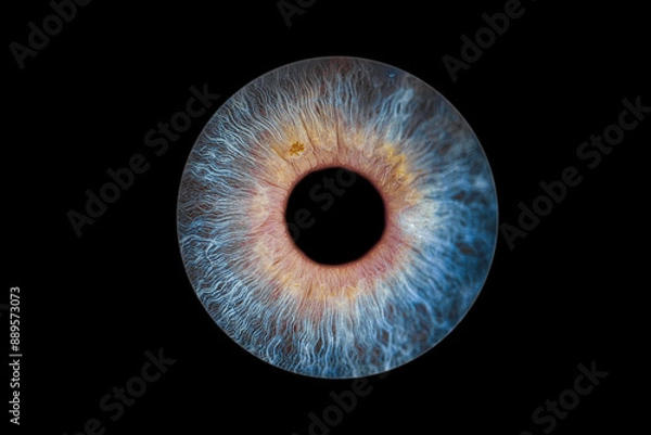 Obraz photo d'iris yeux