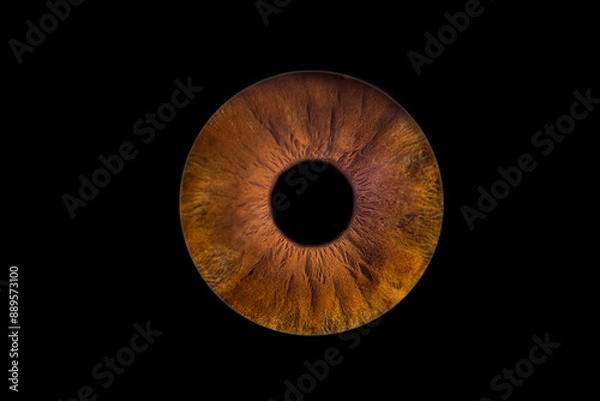 Obraz photo d'iris yeux