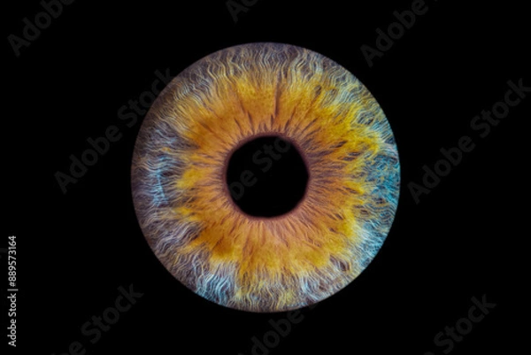 Obraz photo d'iris yeux