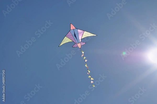 Obraz Kite flying in a sunny blue sky