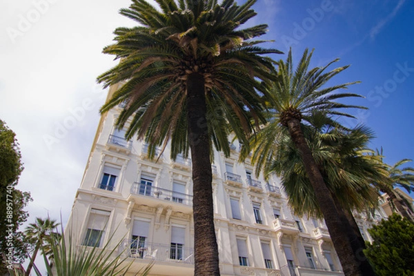 Obraz Beautiful palm trees and old building in Nice in France