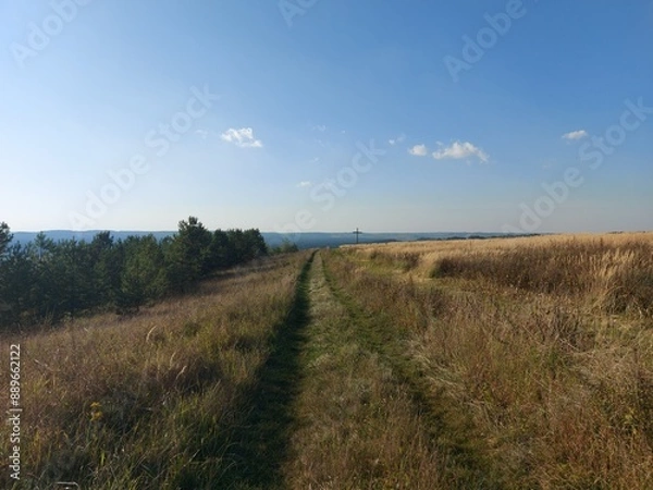 Fototapeta Polna droga