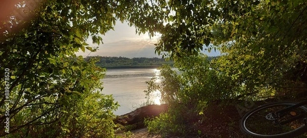 Fototapeta Leśne wybrzeże