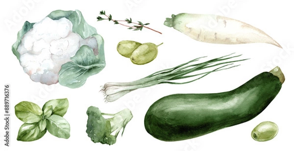 Fototapeta Set of watercolor illustrations of green vegetables. Collection of drawings of zucchini, broccoli and herbs isolated on white background. Vegetarian market. Menu and cafe design