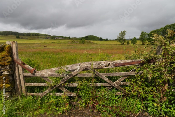 Obraz A broken down old gate to a farm in a Scottish Highland landscape.
