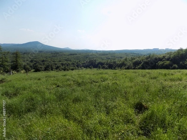 Fototapeta Meadow, forests and sky