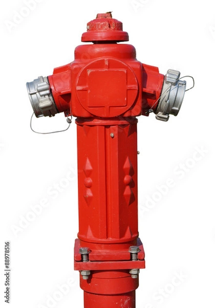 Obraz The rural red fire hydrant