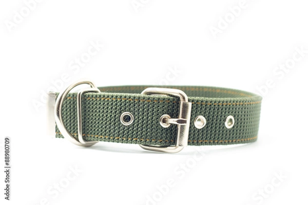 Obraz dog collar isolated on white background