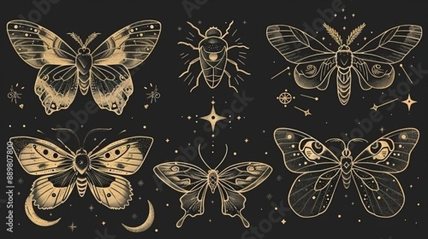 Fototapeta Six intricately detailed golden moth and bug illustrations are set against a black background, showcasing artistic and elegant elements with celestial motifs.