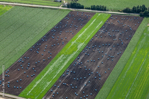 Obraz 玉ねぎ畑の空撮