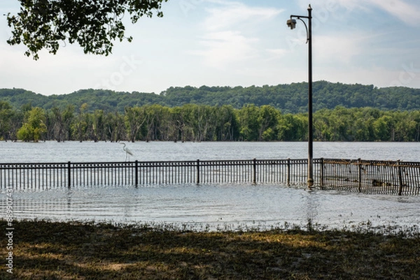 Fototapeta Mississippi river flooded park with railing and light post.