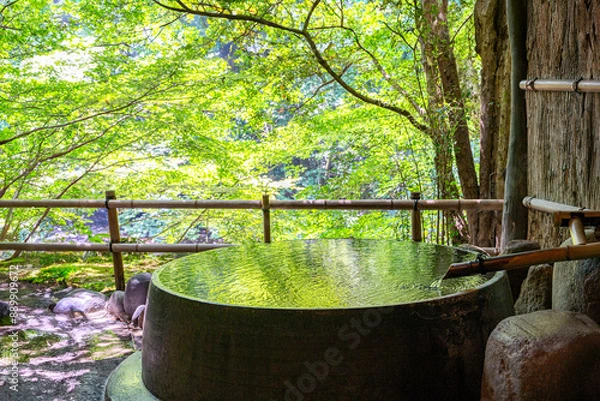 Obraz 新緑の露天風呂
