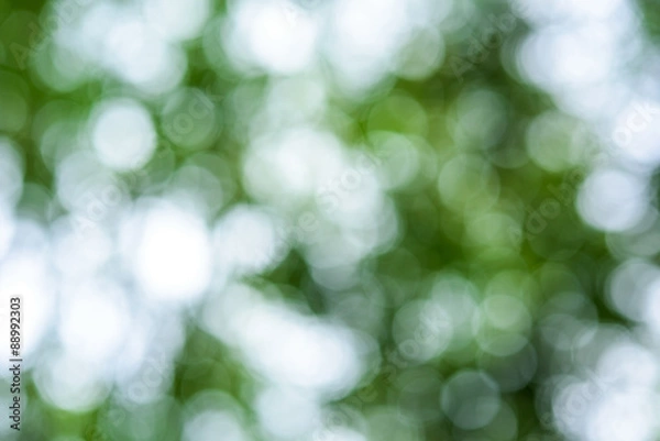 Fototapeta Abstract bokeh and blurred colorful nature background