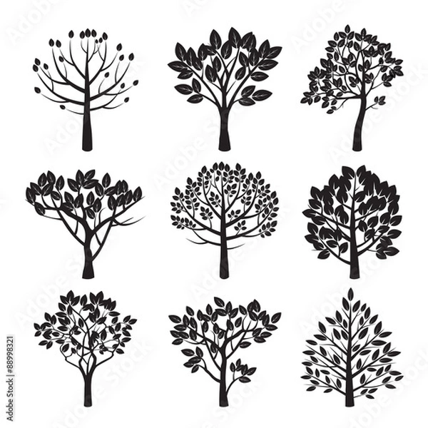 Obraz Set of black vector plants and trees