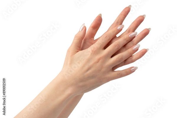 Fototapeta Woman hands  isolated on a white background.