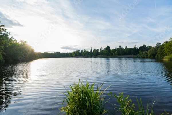 Obraz Virginia blue ripples