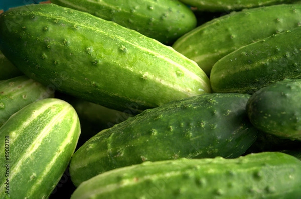 Fototapeta ogórki ekologiczne