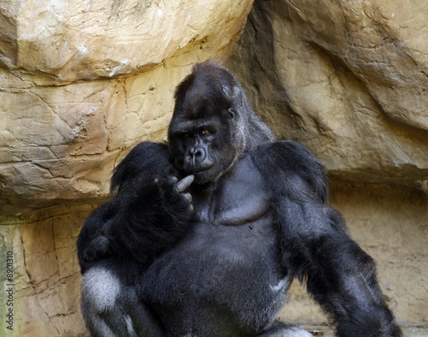 Fototapeta Honest I'm just thinking