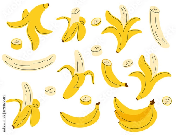 Fototapeta Hand drawn banana set. Simple drawing of whole, peeled bananas, sliced, chopped, empty peel